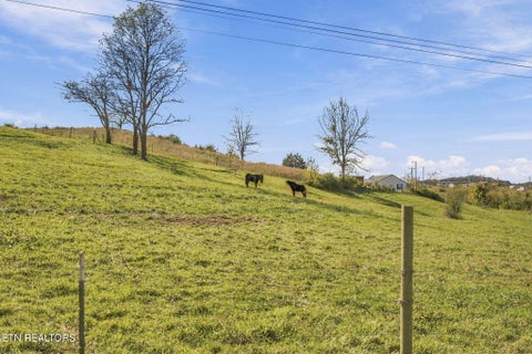 Tiny photo for 2361 Tennessee 131 Hwy, Thorn Hill, TN 37881 (MLS # 1360304)