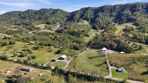 Tiny photo for 2361 Tennessee 131 Hwy, Thorn Hill, TN 37881 (MLS # 1360304)