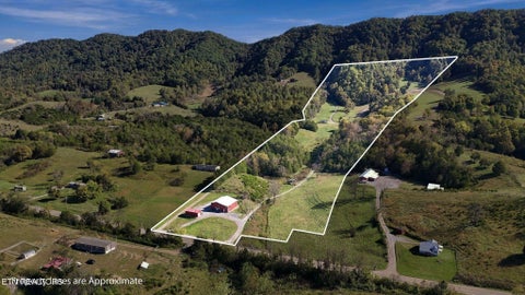Tiny photo for 2361 Tennessee 131 Hwy, Thorn Hill, TN 37881 (MLS # 1360304)