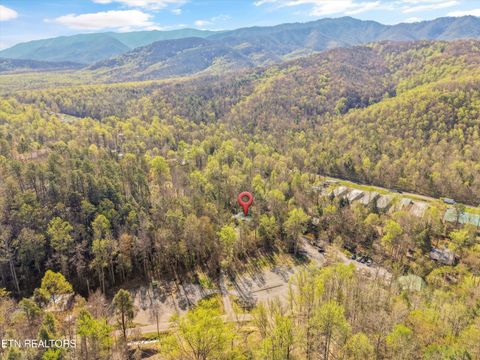 Tiny photo for 130 Branam Hollow Rd, Gatlinburg, TN 37738 (MLS # 1336583)