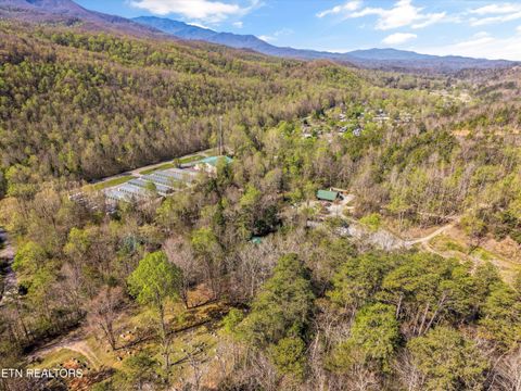 Tiny photo for 130 Branam Hollow Rd, Gatlinburg, TN 37738 (MLS # 1336583)