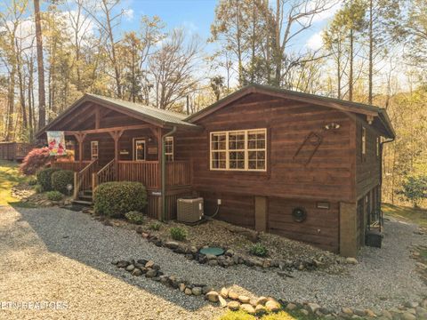 Tiny photo for 130 Branam Hollow Rd, Gatlinburg, TN 37738 (MLS # 1336583)