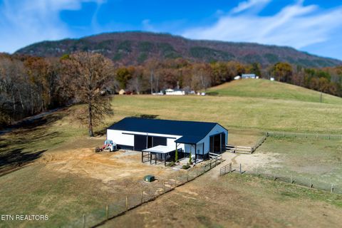 Tiny photo for 1010 Keener Rd, Cosby, TN 37722 (MLS # 1322150)