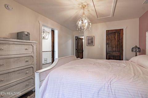 Tiny photo for 1010 Keener Rd, Cosby, TN 37722 (MLS # 1322150)