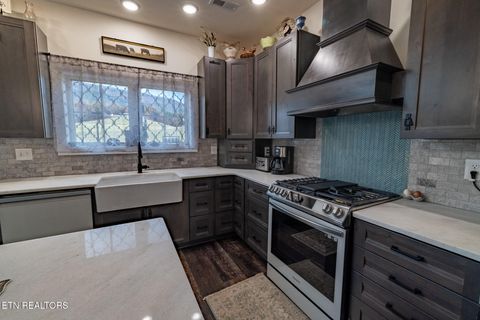 Tiny photo for 1010 Keener Rd, Cosby, TN 37722 (MLS # 1322150)