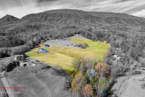 Tiny photo for 1010 Keener Rd, Cosby, TN 37722 (MLS # 1322150)