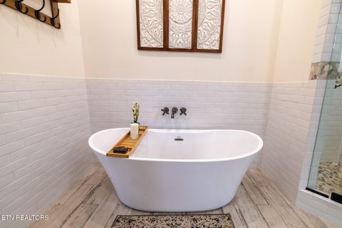 Tiny photo for 1010 Keener Rd, Cosby, TN 37722 (MLS # 1322150)