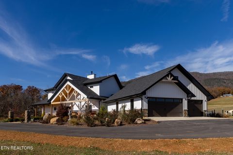 Tiny photo for 1010 Keener Rd, Cosby, TN 37722 (MLS # 1322150)