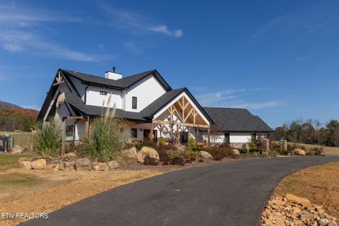 Tiny photo for 1010 Keener Rd, Cosby, TN 37722 (MLS # 1322150)