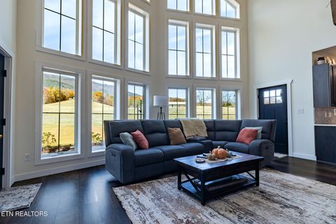 Tiny photo for 1010 Keener Rd, Cosby, TN 37722 (MLS # 1322150)