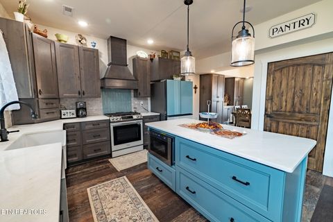 Tiny photo for 1010 Keener Rd, Cosby, TN 37722 (MLS # 1322150)