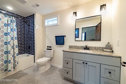 Tiny photo for 1010 Keener Rd, Cosby, TN 37722 (MLS # 1322150)