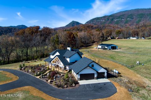 Tiny photo for 1010 Keener Rd, Cosby, TN 37722 (MLS # 1322150)