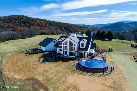 Tiny photo for 1010 Keener Rd, Cosby, TN 37722 (MLS # 1322150)