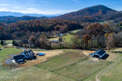 Tiny photo for 1010 Keener Rd, Cosby, TN 37722 (MLS # 1322150)
