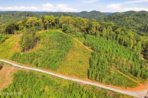 Tiny photo for 2097 Winding Trail Tr, Vonore, TN 37885 (MLS # 1356058)