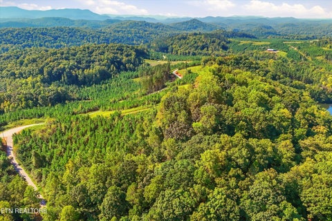 Tiny photo for 2097 Winding Trail Tr, Vonore, TN 37885 (MLS # 1356058)