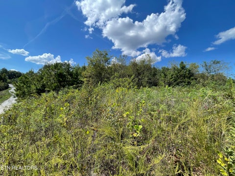 Tiny photo for 2097 Winding Trail Tr, Vonore, TN 37885 (MLS # 1356058)
