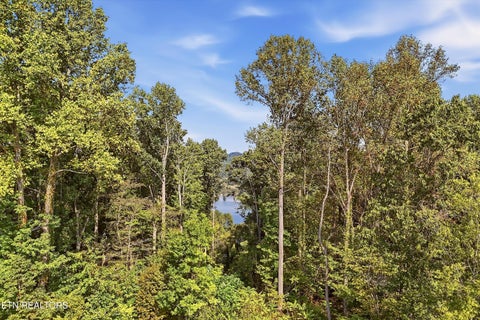 Tiny photo for 2097 Winding Trail Tr, Vonore, TN 37885 (MLS # 1356058)