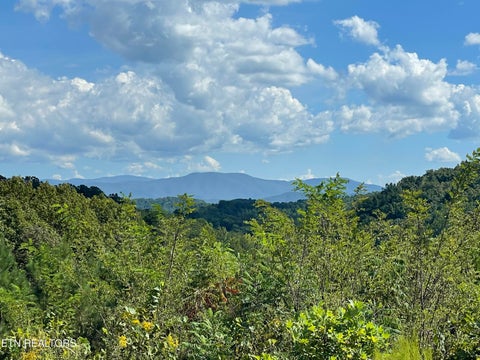 Tiny photo for 2097 Winding Trail Tr, Vonore, TN 37885 (MLS # 1356058)