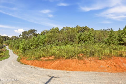 Tiny photo for 2097 Winding Trail Tr, Vonore, TN 37885 (MLS # 1356058)