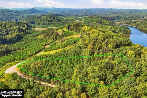 Tiny photo for 2097 Winding Trail Tr, Vonore, TN 37885 (MLS # 1356058)