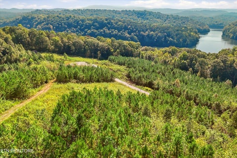 Tiny photo for 2097 Winding Trail Tr, Vonore, TN 37885 (MLS # 1356058)