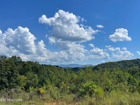 Tiny photo for 2097 Winding Trail Tr, Vonore, TN 37885 (MLS # 1356058)