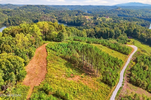 Tiny photo for 2097 Winding Trail Tr, Vonore, TN 37885 (MLS # 1356058)