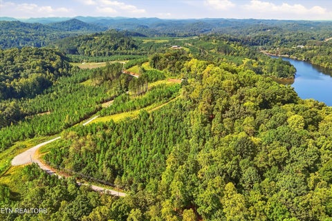 Tiny photo for 2097 Winding Trail Tr, Vonore, TN 37885 (MLS # 1356058)