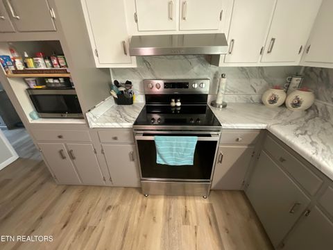 Tiny photo for 1084 Cemetery Rd, Spring City, TN 37381 (MLS # 1337564)