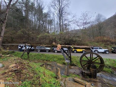 Tiny photo for 1575 Old 15th Rd, Del Rio, TN 37727 (MLS # 1325592)