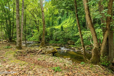 Tiny photo for 1575 Old 15th Rd, Del Rio, TN 37727 (MLS # 1325592)