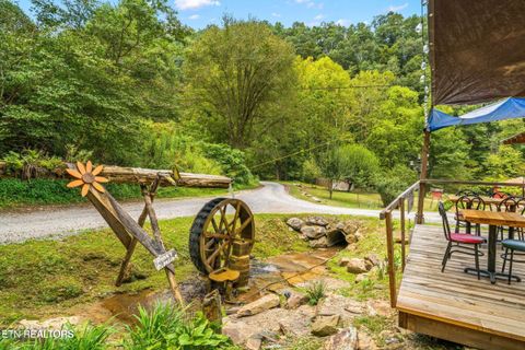 Tiny photo for 1575 Old 15th Rd, Del Rio, TN 37727 (MLS # 1325592)