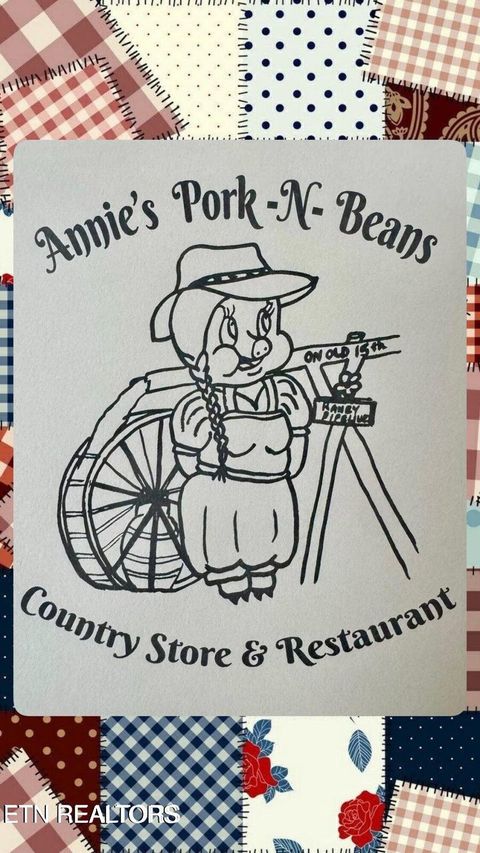 Tiny photo for 1575 Old 15th Rd, Del Rio, TN 37727 (MLS # 1325592)