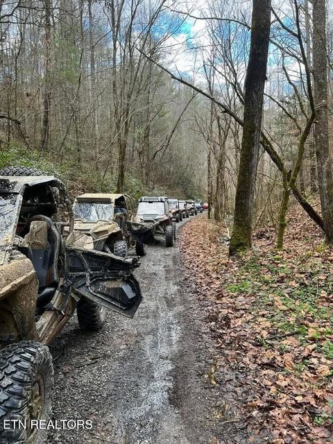 Tiny photo for 1575 Old 15th Rd, Del Rio, TN 37727 (MLS # 1325592)