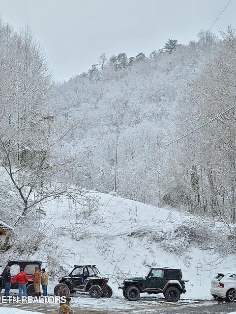 Tiny photo for 1575 Old 15th Rd, Del Rio, TN 37727 (MLS # 1325592)