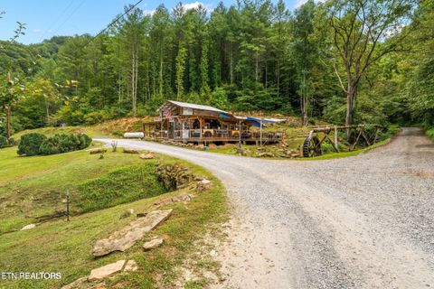 Tiny photo for 1575 Old 15th Rd, Del Rio, TN 37727 (MLS # 1325592)