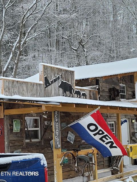 Tiny photo for 1575 Old 15th Rd, Del Rio, TN 37727 (MLS # 1325592)