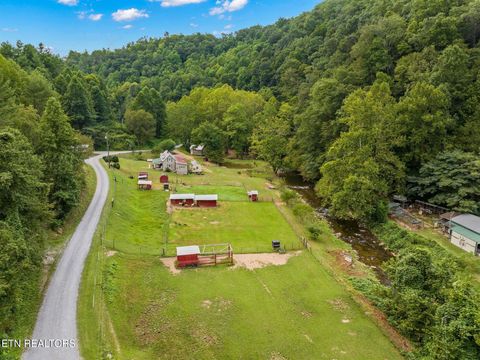 Tiny photo for 1575 Old 15th Rd, Del Rio, TN 37727 (MLS # 1325592)