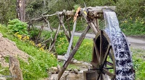 Tiny photo for 1575 Old 15th Rd, Del Rio, TN 37727 (MLS # 1325592)