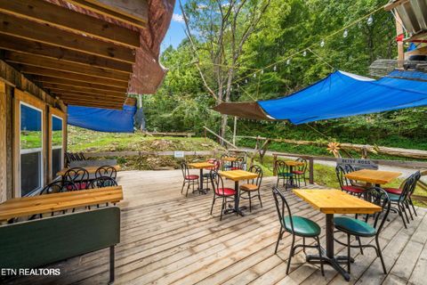 Tiny photo for 1575 Old 15th Rd, Del Rio, TN 37727 (MLS # 1325592)