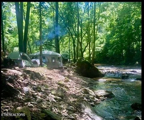 Tiny photo for 1575 Old 15th Rd, Del Rio, TN 37727 (MLS # 1325592)