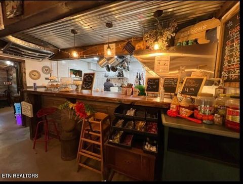 Tiny photo for 1575 Old 15th Rd, Del Rio, TN 37727 (MLS # 1325592)