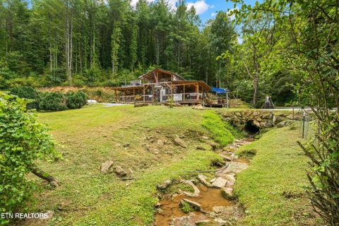 Photo of 1575 Old 15th Rd, Del Rio, TN 37727 (MLS # 1325592)