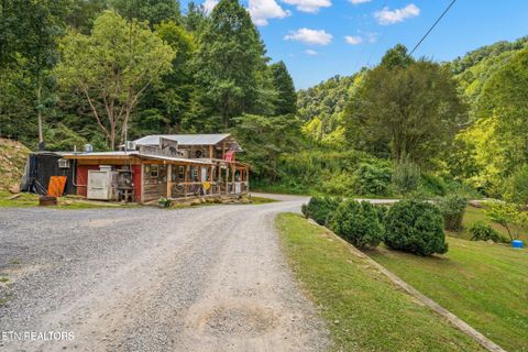 Tiny photo for 1575 Old 15th Rd, Del Rio, TN 37727 (MLS # 1325592)
