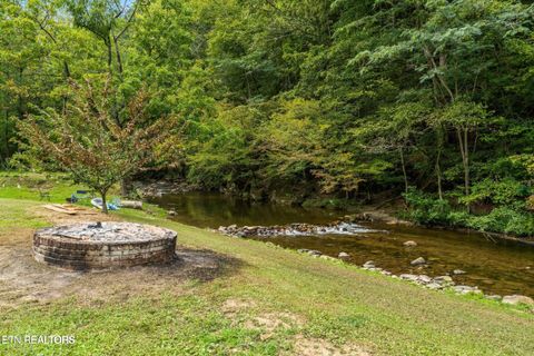 Tiny photo for 1575 Old 15th Rd, Del Rio, TN 37727 (MLS # 1325592)