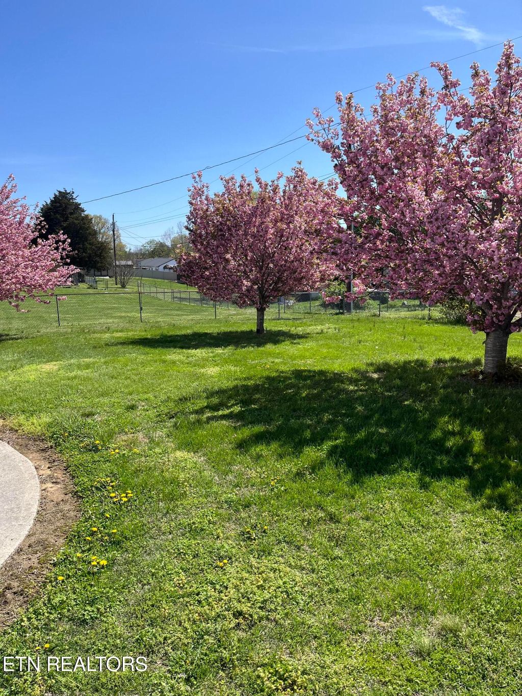 Photo of 178 Farris Circle, LaFollette, TN 37766 (MLS # 1298851)
