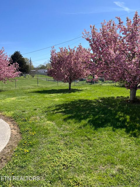 Tiny photo for 178 Farris Circle, LaFollette, TN 37766 (MLS # 1298851)