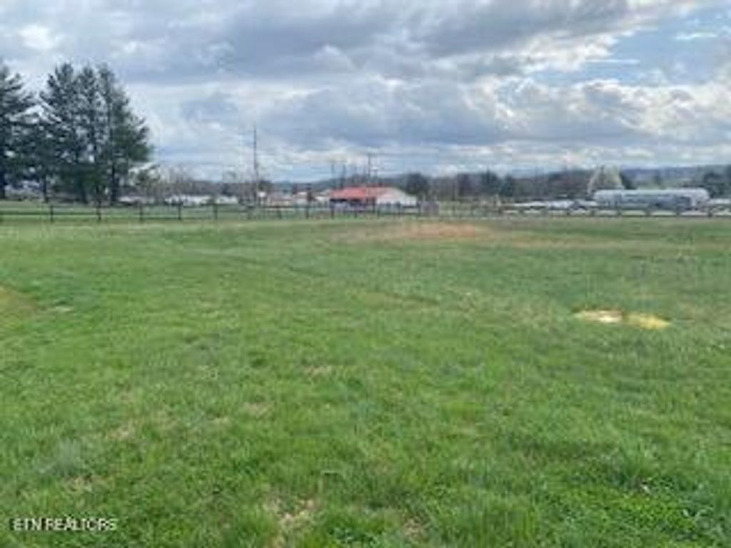 Photo of 138 LILAC Lane, Speedwell, TN 37870 (MLS # 1332288)